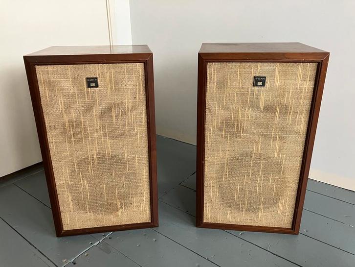 Sony luidsprekers SS-580 Jute Hout Charmant Goedklinkend, Audio, Tv en Foto, Luidsprekers, Gebruikt, Front, Rear of Stereo speakers