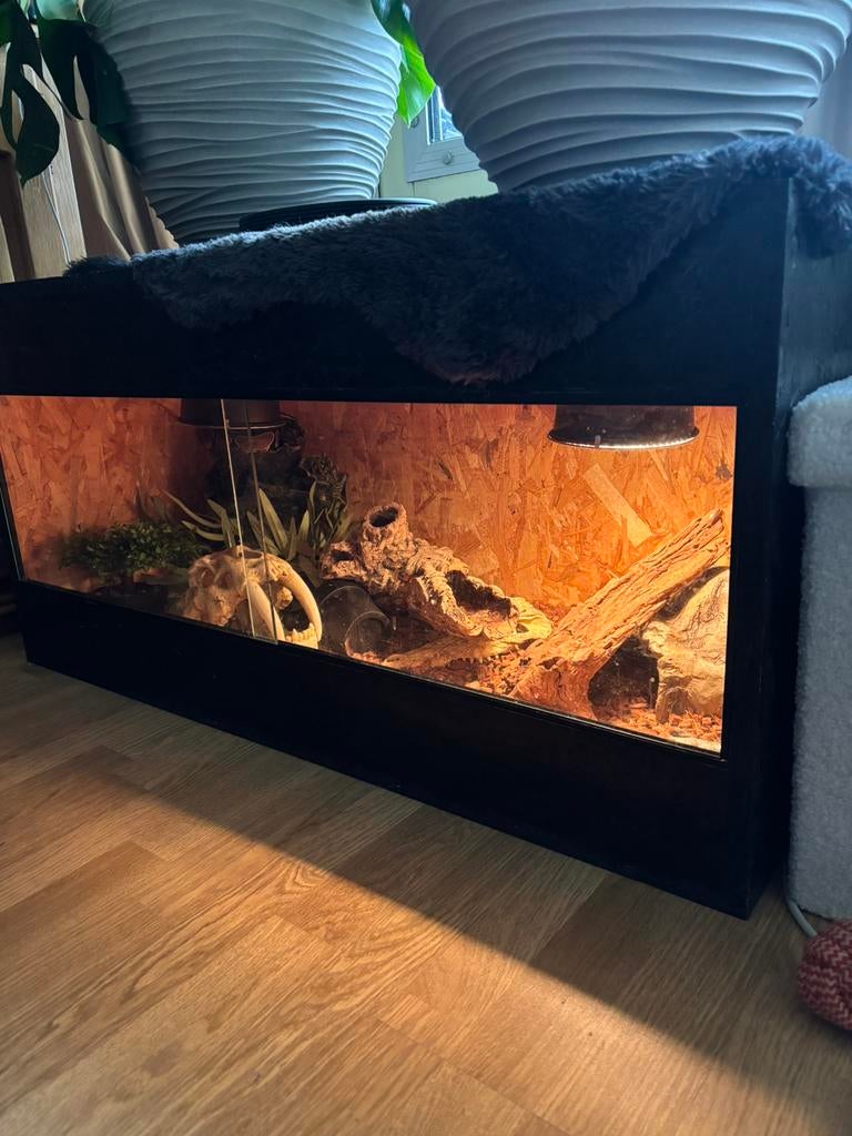 Terrarium met slangen, Dieren en Toebehoren, Reptielen en Amfibieën | Toebehoren, Ophalen of Verzenden, Zo goed als nieuw