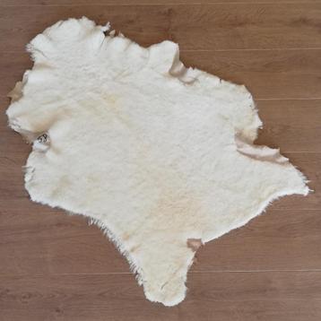 Authentieke schapenvacht nr. 58 beschikbaar voor biedingen