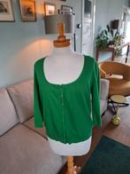 Vestje van Zenggi maat L, Kleding | Dames, Truien en Vesten, Zenggi, Maat 42/44 (L), Ophalen of Verzenden, Zo goed als nieuw