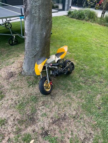 Mini pocket bike beschikbaar voor biedingen
