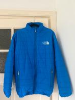 Blauwe winterjas – maat M, Ophalen of Verzenden, Nieuw, Blauw
