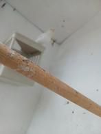 Koppel waterslagers van 24, Meerdere dieren, Tropenvogel, Geringd