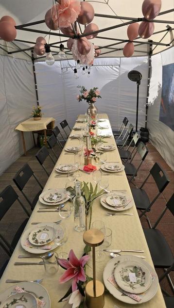 Partytenten ~TE HUUR~ Diverse maten  incl. BEZORGD+OPZETTEN! beschikbaar voor biedingen