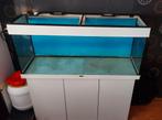 Juwel Rio aquarium 240 L met witte onderkast, Dieren en Toebehoren, Vissen | Aquaria en Toebehoren, Ophalen, Gebruikt, Leeg aquarium