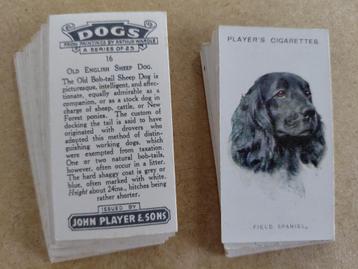 Dogs complete set 25 cigarette cards John Player Overseas beschikbaar voor biedingen