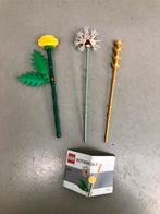 LEGO Botanicals, Kinderen en Baby's, Speelgoed | Duplo en Lego, Ophalen of Verzenden, Zo goed als nieuw, Lego