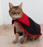 Halloween Kattenkostuum - Dracula Cape, Ophalen of Verzenden, Nieuw