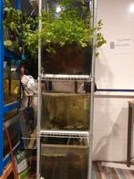 Aquaponic met 3 aquariums, Ophalen, Gebruikt
