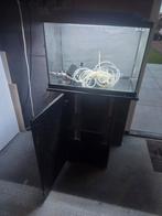 Superfish aquarium, Dieren en Toebehoren, Vissen | Aquaria en Toebehoren, Ophalen of Verzenden, Zo goed als nieuw, Leeg aquarium