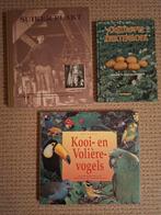 Boeken, Ophalen of Verzenden, Zo goed als nieuw
