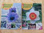 Bloemen en planten 2x 1997, Verzenden, Gelezen, Wetenschap en Natuur