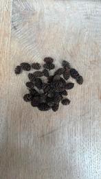 Elzenproppen (zie omschrijving), Dieren en Toebehoren, Ophalen of Verzenden, Nieuw, Plant(en), Steen of Hout