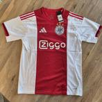 Ajax thuis shirt 2025-2026 Maat XL, Maat XL, Ophalen of Verzenden, Nieuw, Shirt