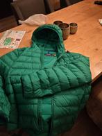 Polo Ralph Lauren tussen jas maat XL 2x gedragen, Ophalen of Verzenden, Zo goed als nieuw, Maat 56/58 (XL), Groen