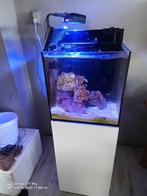 Redsea aquarium compleet met alles red sea, zo beginnen, Dieren en Toebehoren, Vissen | Aquaria en Toebehoren, Ophalen of Verzenden