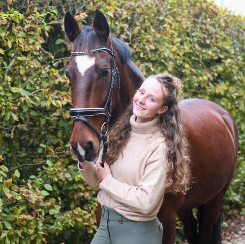 Paardenstalling met weidegang, Dieren en Toebehoren, Stalling en Weidegang, Stalling, Weidegang