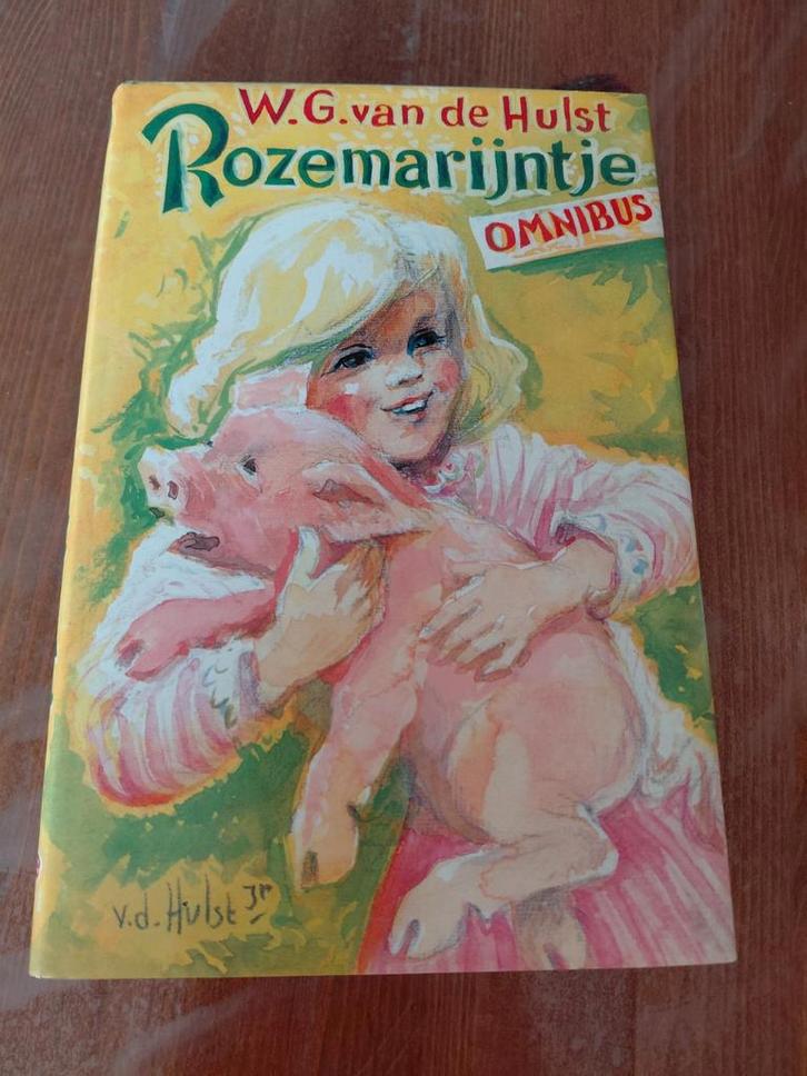 W.G. van de Hulst   Rozemarijntje  omnibus, Boeken, Kinderboeken | Jeugd | onder 10 jaar, Gelezen, Ophalen of Verzenden