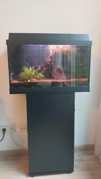 Juwel Monolux 60L Aquarium, incl. zwarte kast, Dieren en Toebehoren, Ophalen, Gebruikt, Leeg aquarium