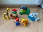 Duplo, baby dierentuin: ijsbeer olifant giraffe, set 4962, Ophalen of Verzenden, Gebruikt, Complete set, Duplo