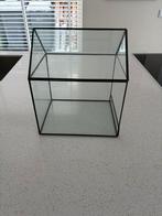 Kleine kas, Ophalen, Zo goed als nieuw, Kweekkast