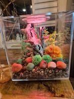 BIORB 30 Liter Cube MCR Aquarium, Dieren en Toebehoren, Vissen | Aquaria en Toebehoren, Ophalen, Zo goed als nieuw, Leeg aquarium