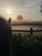 Stalling met weidegang, Weidegang
