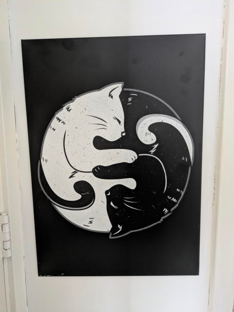 Displate Metalen Plaat - Yin Yang Katten, Ophalen of Verzenden, Zo goed als nieuw