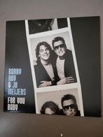 Barry Hay & J.B. Meijers, Ophalen of Verzenden, 2000 tot heden, Nieuw in verpakking, 12 inch