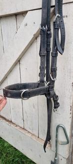 Kaptoom maat full, Dieren en Toebehoren, Ophalen of Verzenden, Gebruikt, Dressuur