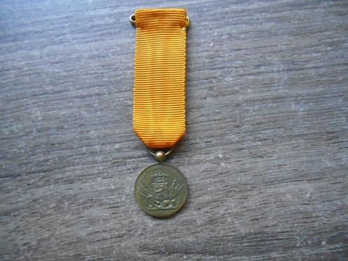 12 jaar trouwe dienst medaille miniatuur (onderscheiding), Verzamelen, Militaria | Algemeen, Landmacht, Lintje, Medaille of Wings