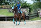 Weatherbeeta Prime Zadeldek Turquoise, Full Dressuur, Ophalen of Verzenden, Nieuw, Dekje