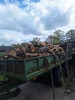 Brandhout haardhout, Ophalen of Verzenden, Blokken, Overige houtsoorten
