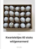 60 kwartel eitjes wit gemarmers, Ophalen of Verzenden, Nieuw