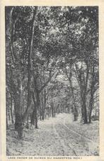 AK Haamstede - Laan onder de duinenbij Haamstede, Verzenden, 1920 tot 1940, Ongelopen, Zeeland