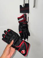 Alpinestars / Ducati Corse Speed EVO C1 gloves, Motoren, Kleding | Motorkleding, Nieuw met kaartje, Dames, Ophalen of Verzenden