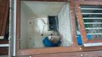 Piepers 2x2., Dieren en Toebehoren, Vogels | Duiven
