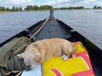 Giethoornse punter met ligplaats., Watersport en Boten, Ophalen, Gebruikt, Tot 10 pk, 6 meter of meer