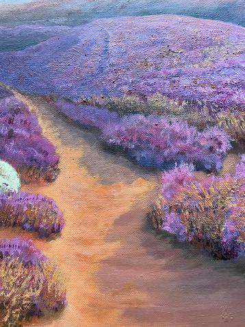 Lavendelveld met Schapen - Origineel Schilderij beschikbaar voor biedingen