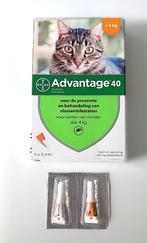 2 pippetten Advantage 40 voor katten tot 4 kg, Ophalen of Verzenden, Nieuw