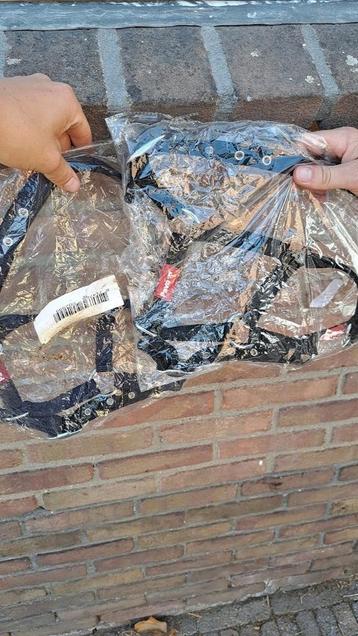 Pavo veulen halster blauw en zwart beschikbaar voor biedingen
