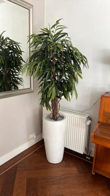 Grote kunstplant met pot 1.90cm hoog beschikbaar voor biedingen