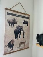 Vintage poster/schoolplaat van de big five, Antiek en Kunst, Ophalen of Verzenden, Natuur en Biologie