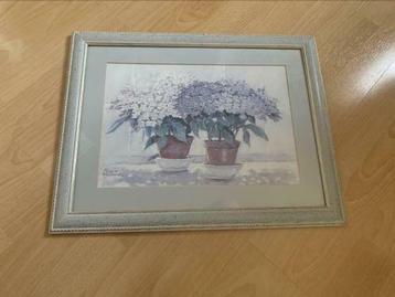Hortensia Schilderij met Lijst beschikbaar voor biedingen