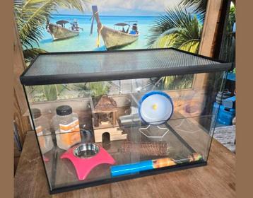 Hamster kooi glas 60x40x 40 nagenoeg nieuw met toebehoren. beschikbaar voor biedingen