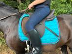 Norton Pro zadel – 17,5 inch – bruin suède look –zeer netjes, Dieren en Toebehoren, Paarden en Pony's | Zadels, Ophalen, Zo goed als nieuw