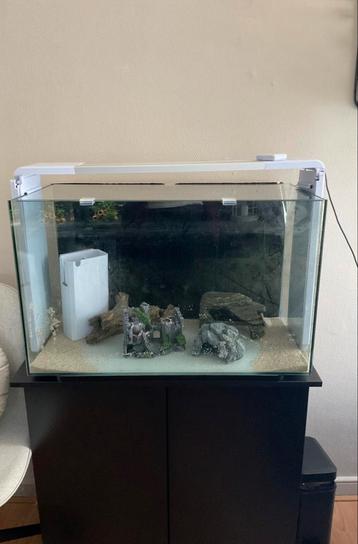 Superfish home 110 beschikbaar voor biedingen