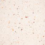 Terrazzo Fior di Latte 41x41 Nieuw in Verpakking, Ophalen, 40 tot 60 cm, 60 cm of meer, Nieuw