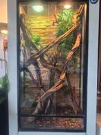 Terrarium kast, Ophalen, Zo goed als nieuw, Overige typen