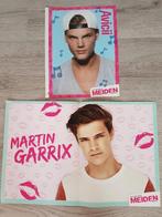 Posters Avicii & Martin Garrix, Verzenden, Nieuw, Poster, Artwork of Schilderij